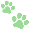 シニアサポート
